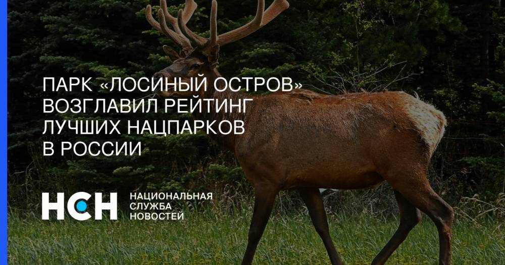 Парк «Лосиный остров» возглавил рейтинг лучших нацпарков в России - nsn.fm - Россия - Иркутская обл. - Сочи - Московская обл. - респ. Кабардино-Балкария - Калининградская обл.