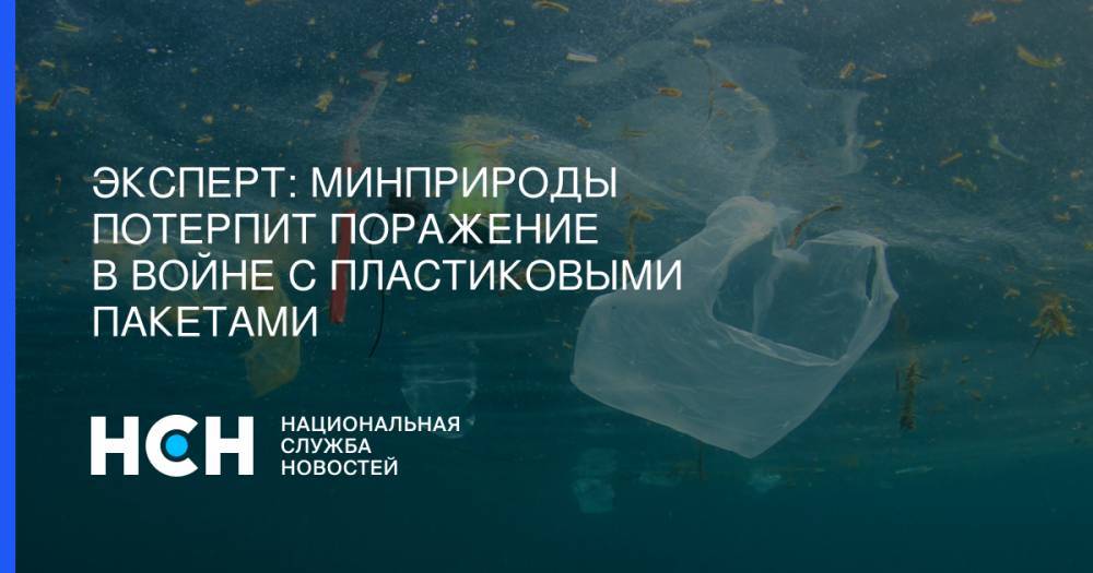 Дмитрий Кобылкин - Олег Павлов - Эксперт: Минприроды потерпит поражение в войне с пластиковыми пакетами - nsn.fm
