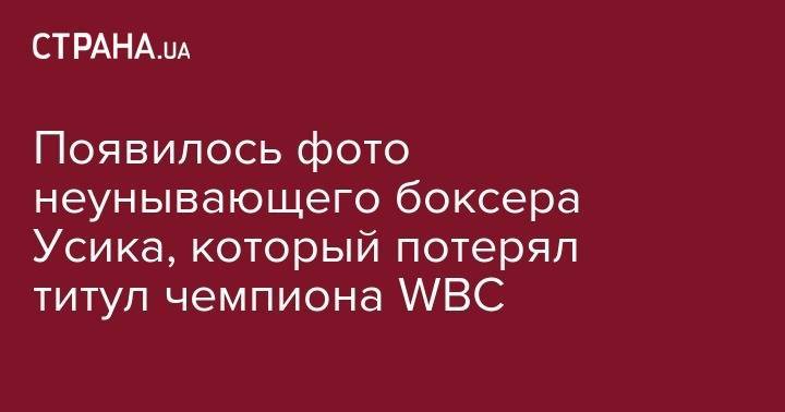 Александр Усик - Появилось фото неунывающего боксера Усика, который потерял титул чемпиона WBC - strana.ua - Украина