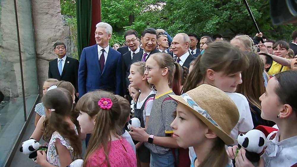Владимир Путин - Сергей Собянин - Си Цзиньпин - Панда-дипломатия: что означает подарок Китая России - tvc.ru - Россия - Китай