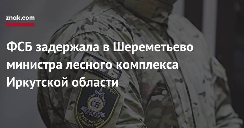 ФСБ задержала в&nbsp;Шереметьево министра лесного комплекса Иркутской области - znak.com - Россия - Иркутская обл.