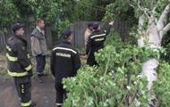 В Украине из-за непогоды пострадали семь областей - korrespondent.net - Украина - Тернопольская обл.