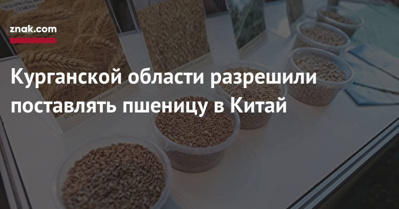 Дмитрий Патрушев - Курганской области разрешили поставлять пшеницу в&nbsp;Китай - znak.com - Россия - Китай - Курганская обл.