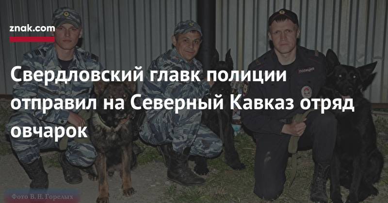 Валерий Горелых - Свердловский главк полиции отправил на&nbsp;Северный Кавказ отряд овчарок - znak.com - Свердловская обл.