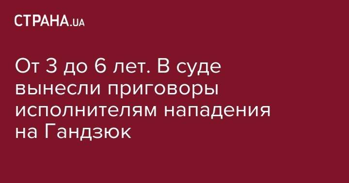 Екатерина Гандзюк - Вячеслав Вишневский - От 3 до 6 лет. В суде вынесли приговоры исполнителям нападения на Гандзюк - strana.ua - Днепропетровская обл.