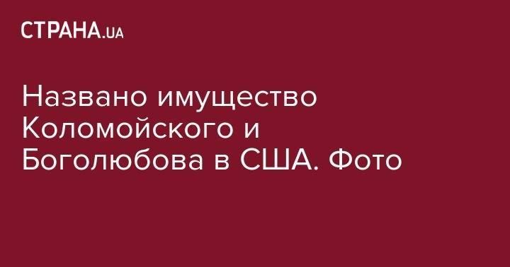 Игорь Коломойский - Геннадий Боголюбов - Названо имущество Коломойского и Боголюбова в США. Фото - strana.ua - США - Украина - штат Делавэр