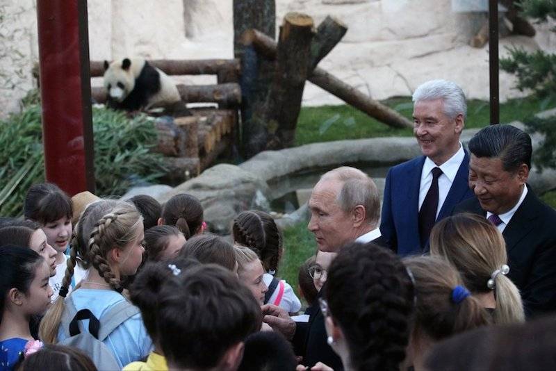 Владимир Путин - Си Цзиньпин - «Девочки по своей природе более выносливые»: Путин о китайском подарке - bloknot.ru - Россия - Китай