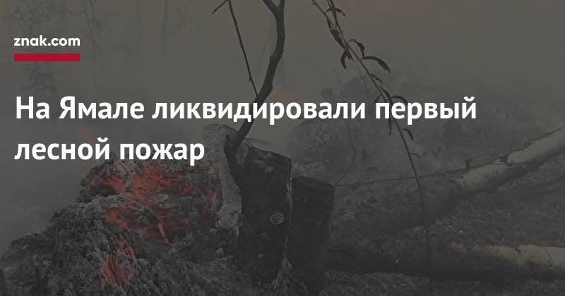 Дмитрий Артюхов - На&nbsp;Ямале ликвидировали первый лесной пожар - znak.com - окр. Янао