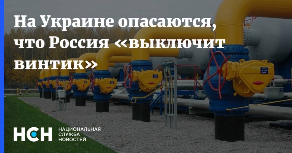 Дмитрий Спивак - На Украине опасаются, что Россия «выключит винтик» - nsn.fm - Москва - Россия - Украина - Киев