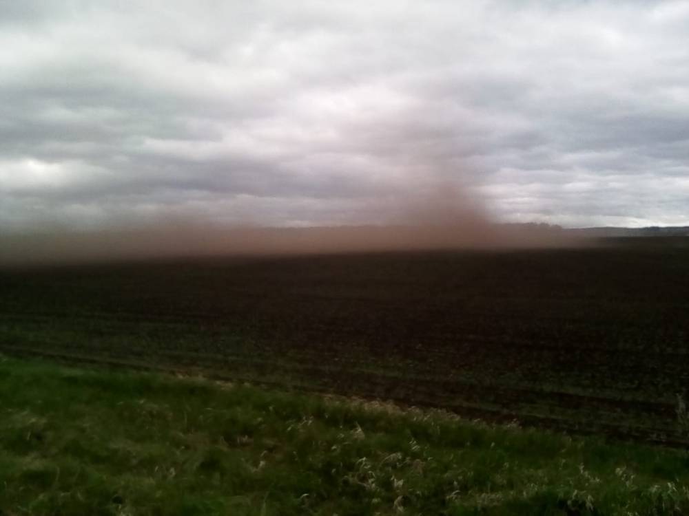В Башкирии сильный ветер смел почти все посевы сахарной свеклы - bash.news - Башкирия - район Кугарчинский