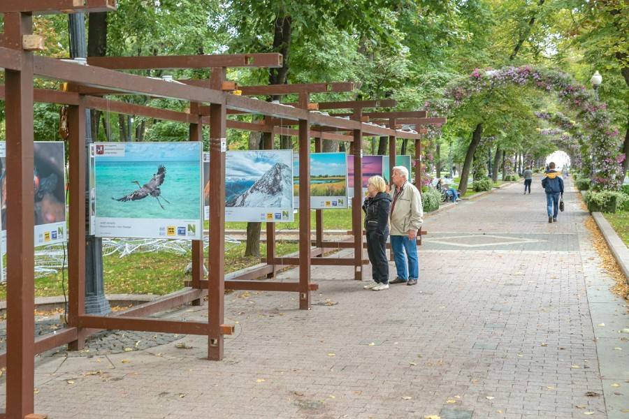 На Страстном бульваре покажут снимки о заповедных территориях - m24.ru - Россия - Калининград
