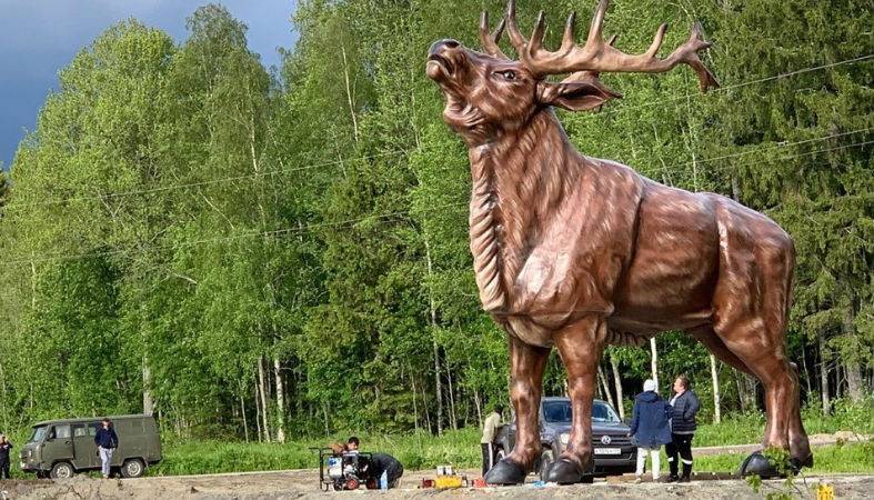 Артур Парфенчиков - Туристов на трассе в Карелии встречает лосень: подводим итоги опроса - 365news.biz - Карелия