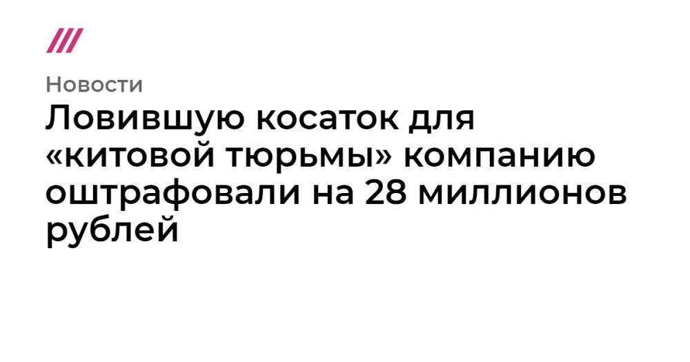Ловившую косаток для «китовой тюрьмы» компанию оштрафовали на 28 миллионов рублей - tvrain.ru - Россия - Китай - Приморье край