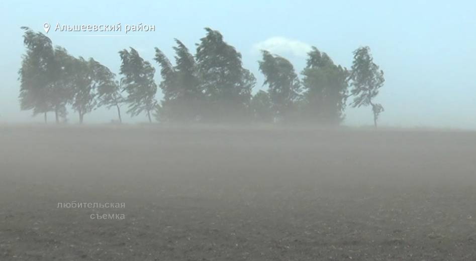 В Башкирии сильный ветер уничтожил 600 гектаров свеклы - bash.news - Башкирия - район Альшеевский