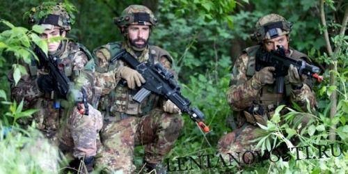 НАТО готовится к дискредитации военного учения «Щит Союза — 2019» - lentanovosti.ru - Россия - США - Вашингтон - Брюссель