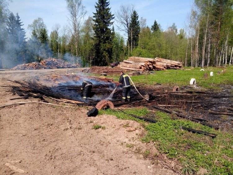 Обширное возгорание лесного массива началось на севере Амурской области - inforeactor.ru - Амурская обл.