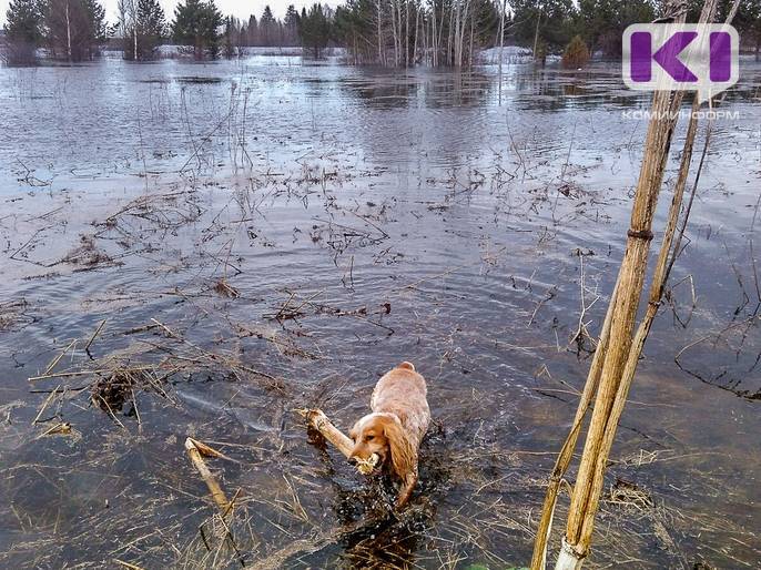 На реках Усинского бассейна продолжаются подъемы воды - komiinform.ru - респ. Коми - Сыктывкар