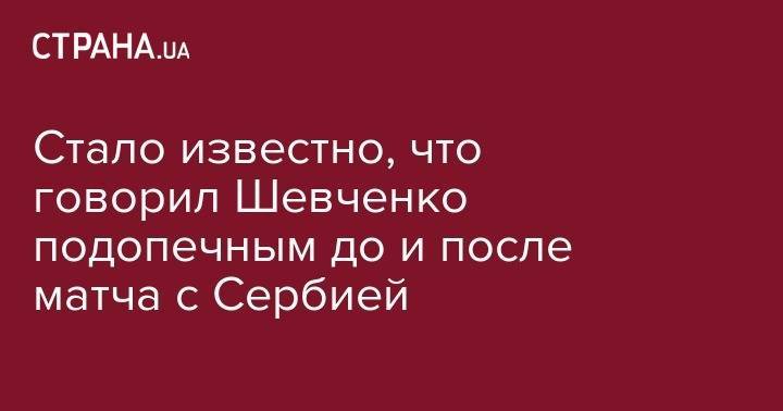 Андрей Шевченко - Александр Караваев - Стало известно, что говорил Шевченко подопечным до и после матча с Сербией - strana.ua - Украина - Сербия - Португалия - Люксембург