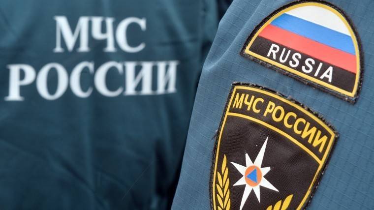 Эксклюзивное видео: Легкомоторный самолет потерпел крушение под Москвой - 5-tv.ru - Московская обл. - шт. Калифорния