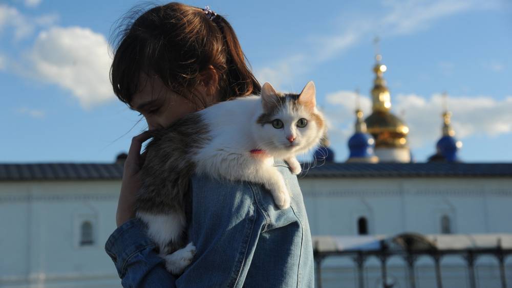 "Коты и собаки - киборги": В Новосибирске ветеринары вживляют домашним животным уникальные протезы - tsargrad.tv - Новосибирск - Лондон