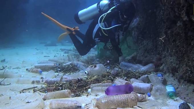 WWF: в мировой океан ежегодно попадает от 5 до 12 млн тонн пластика - piter.tv - Россия