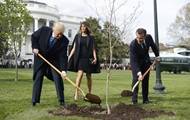 Дональд Трамп - Эмманюэль Макрон - Меланья Трамп - Погиб посаженный Макроном и Трампом дуб - korrespondent.net - США - Вашингтон - Франция