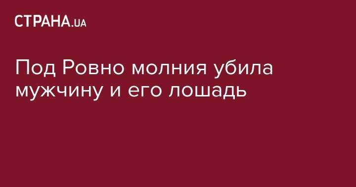 Под Ровно молния убила мужчину и его лошадь - strana.ua - Харьковская обл. - Херсон