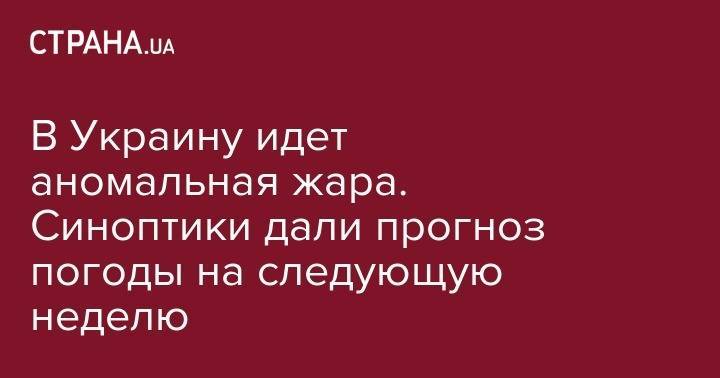 Наталья Диденко - В Украину идет аномальная жара. Синоптики дали прогноз погоды на следующую неделю - strana.ua - Украина - Винницкая обл.