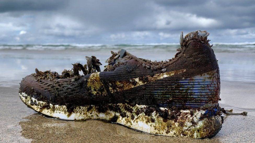 На пляжах по всему миру находят кроссовки Nike. Откуда они взялись? - nur.kz - США - Англия - Франция - шт. Южная Каролина - Ирландия - Багамы - Shanghai - Бермуды