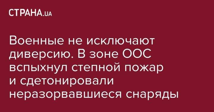 Военные не исключают диверсию. В зоне ООС вспыхнул степной пожар и сдетонировали неразорвавшиеся снаряды - strana.ua - Крым - станица Луганской