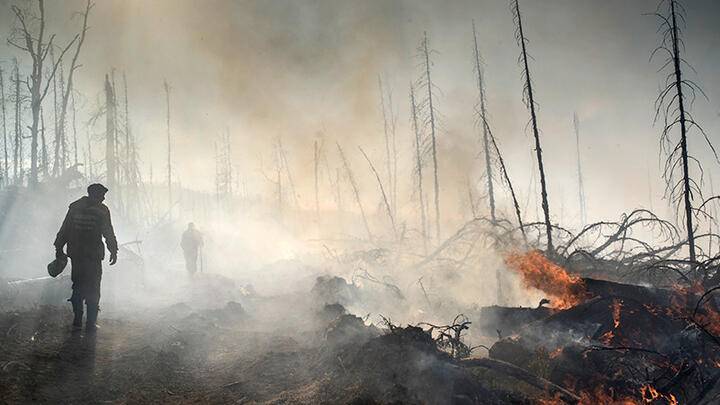 До 500 тысяч рублей вырос размер штрафа за нарушение правил пожарной безопасности в лесах - ru-bezh.ru