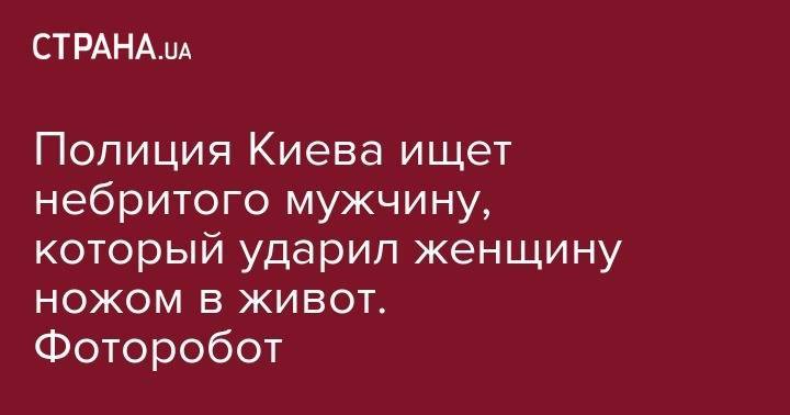 Дмитрий Петровский - Полиция Киева ищет небритого мужчину, который ударил женщину ножом в живот. Фоторобот - strana.ua - Украина - Киев - Днепропетровск