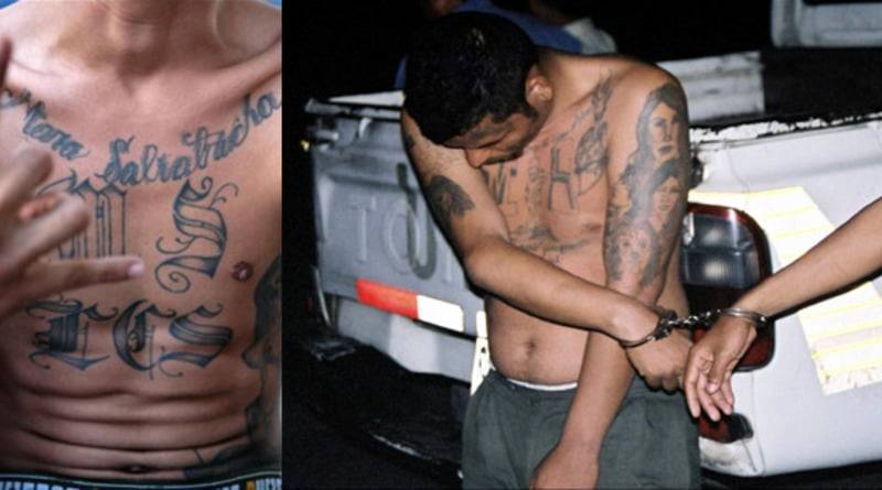 Дональд Трамп - Члены банды MS-13 собираются в заброшенных домах Нью-Йорка, покинув лесные районы - usa.one - США - Нью-Йорк - Нью-Йорк