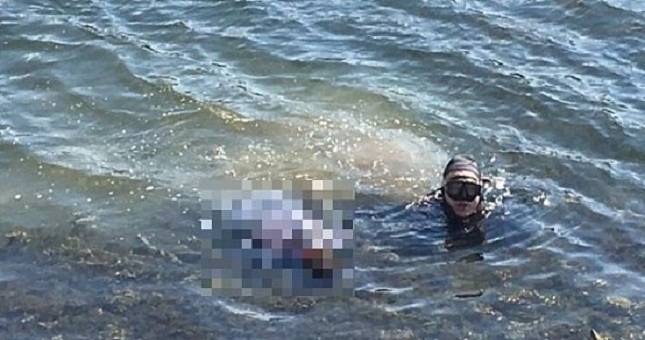 В Саратове спасатели нашли тело упавшего с гидроцикла гражданина Таджикистана - dialog.tj - Саратов - Таджикистан