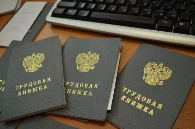 Дмитрий Медведев - РГ: бумажные трудовые книжки выдадут на руки россиянам в 2021 году - aif.ru - Россия