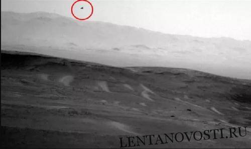 Скотт Уоринг - Марсоход NASA снял парящую птицу на Марсе, заявил эксперт - lentanovosti.ru