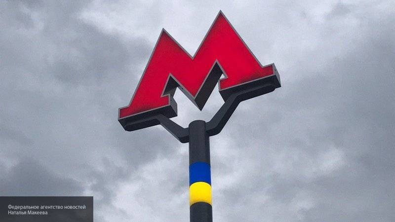 Софья Алимова - Попавшая из-за телефона под поезд в московском метро пассажирка чудом выжила - nation-news.ru - Москва