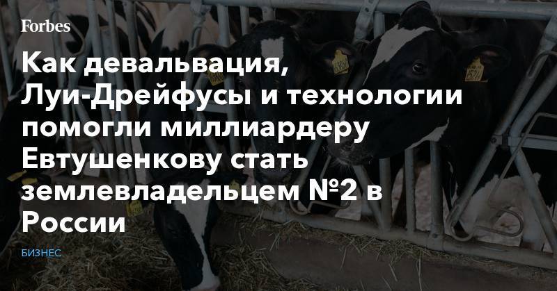 Владимир Евтушенков - Как девальвация, Луи-Дрейфусы и технологии помогли миллиардеру Евтушенкову стать землевладельцем №2 в России - forbes.ru - Россия - Ростов-На-Дону