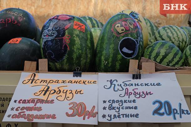 Марья Шумейко - Антонина Стародубова - Названы самые полезные летние ягоды - bnkomi.ru - Москва