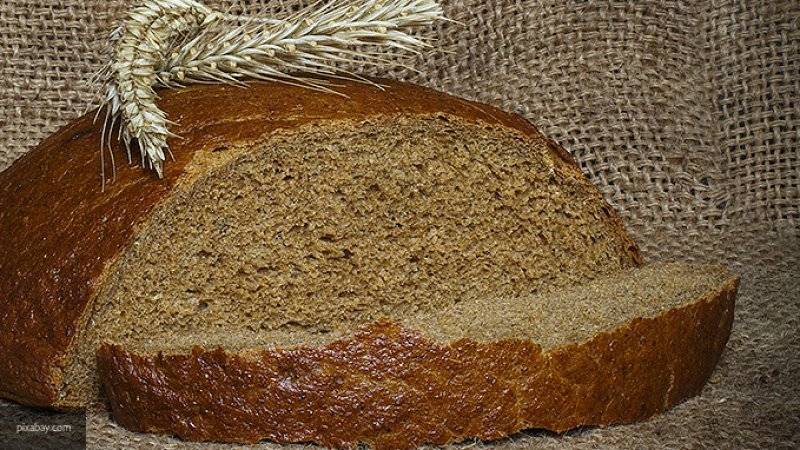 Софья Алимова - Эксперты из Германии нашли ржаную муку, вызывающую галлюцинации и гипертонию - nation-news.ru - Германия