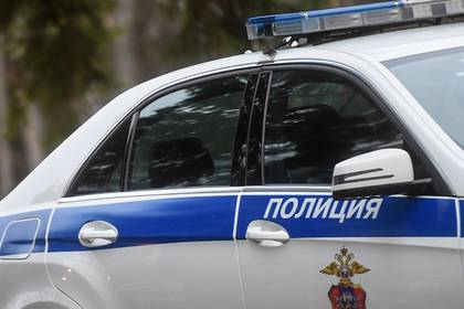 Ольга Врадий - Медбрата с приятелями задержали за убийство в Подмосковье - lenta.ru - Московская обл. - Ногинск