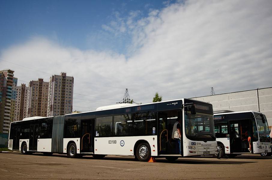 Началась продажа билетов на автобусы Житомир – Москва - m24.ru - Москва - Россия - Украина - Житомир