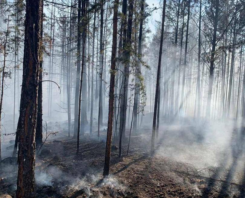 На севере Бурятии локализовали один лесной пожар из трех - infpol.ru - респ.Бурятия - населенный пункт Угрозы - район Северо-Байкальский