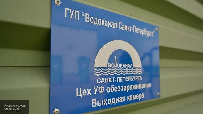 Илья Ремесло - Стало известно, как в петербургском «Водоканале» поднимали тарифы - newinform.com - Россия - Санкт-Петербург - Санкт-Петербург