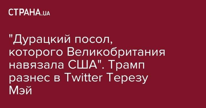 Дональд Трамп - Тереза Мэй - Ким Дэррок - "Дурацкий посол, которого Великобритания навязала США". Трамп разнес в Twitter Терезу Мэй - strana.ua - США - Англия