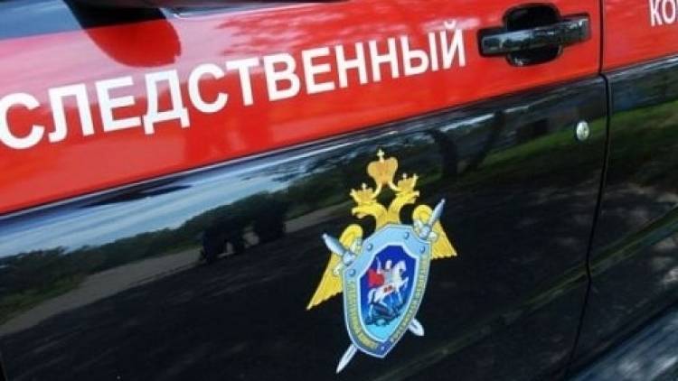 Александр Бастрыкин - Бастрыкин предложил награждать медалью отличников вузов СКР - polit.info - Россия - Следственный Комитет