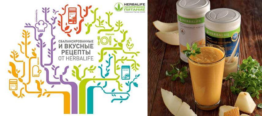 Life - Herbalife — правдивая история длиной в 39 лет - vistanews.ru - Россия