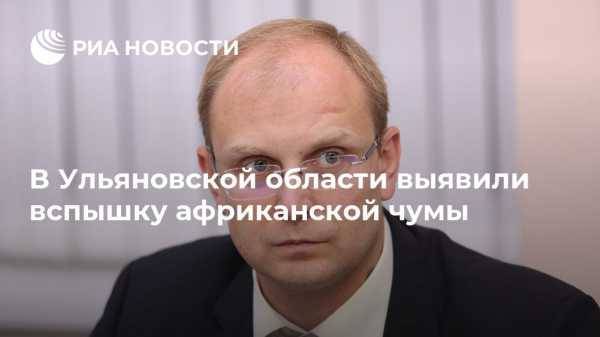 Александр Смекалин - В Ульяновской области выявили вспышку африканской чумы - vestirossii.com - Ульяновская
