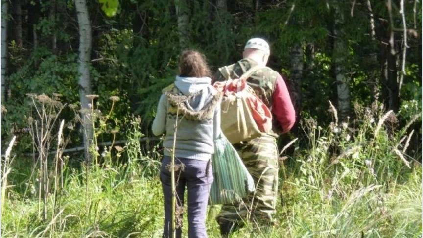 В Кировской области в лесу заблудилась семейная пара - 1istochnik.ru - Кировская обл.