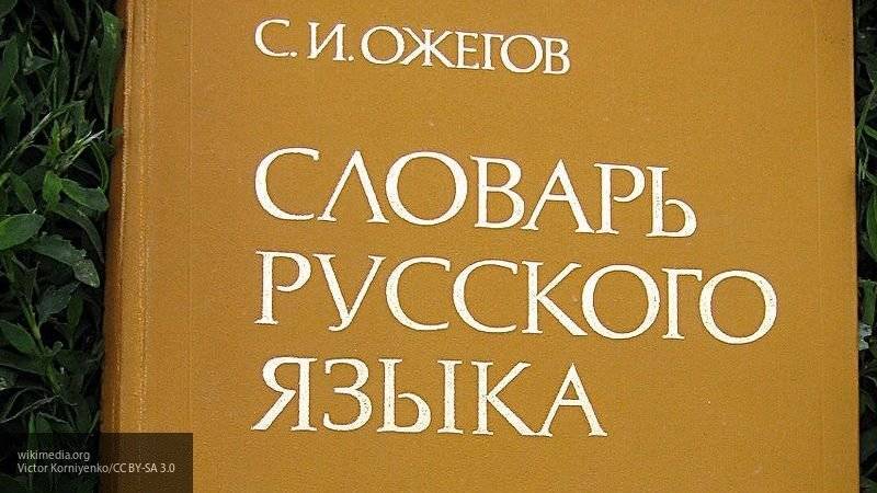 Владимир Зеленский - Никита Потураев - На Украине предложили дать русскому языку новое название - politexpert.net - Россия - Украина